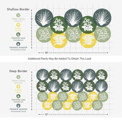 Two planting diagrams show arrangements for shallow (10x5) and deep (12x7) garden borders, using the EZ Scapes™ Native Roots on the West Coast Garden Kit. - Photo Courtesy of Walters Gardens, Inc.