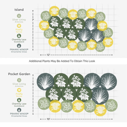 The EZ Scapes™ Native Roots on the West Coast Garden Kit features illustrated Island and Pocket Garden layouts with three plant types in green, yellow, and white circles, each labeled by name on a measured grid. - Photo Courtesy of Walters Gardens, Inc.