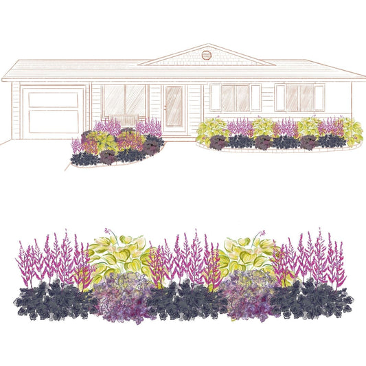 A hand-drawn landscape design illustrates a single-story house with garden beds featuring the EZ Scapes™ Night and Day Garden Kit along the foundation and walkway, plus a close-up of the planting arrangement below. - Photo Courtesy of Walters Gardens, Inc.