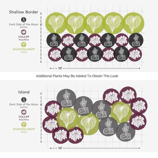 Diagram shows two shade garden layouts: Shallow Border with rows of purple, green, and gray circles, and Island with a clustered look. Both use the EZ Scapes™ Night and Day Garden Kit on a grid. - Photo Courtesy of Walters Gardens, Inc.