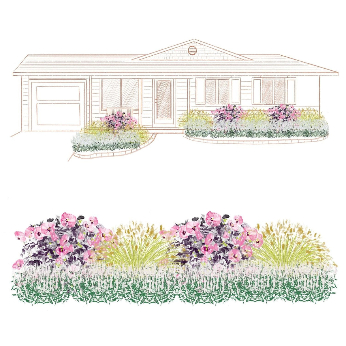 A sketch of a house with a front yard featuring pink and purple flowers, ornamental grasses, and green shrubs from the EZ Scapes™ No Thank You Deer #1 Garden Kit. A detailed close-up of this deer-resistant kit is shown below the house. - Photo Courtesy of Walters Gardens, Inc.