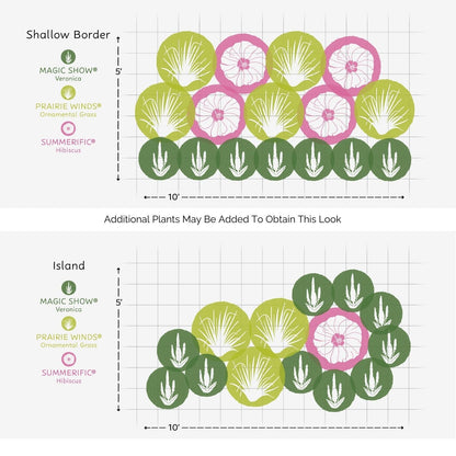 Diagram of two garden layouts using the EZ Scapes™ No Thank You Deer #1 Garden Kit: one with Shallow Border in overlapping greens and pinks, another Island style with Magic Show White Wands Veronica clusters on a measured grid. - Photo Courtesy of Walters Gardens, Inc.