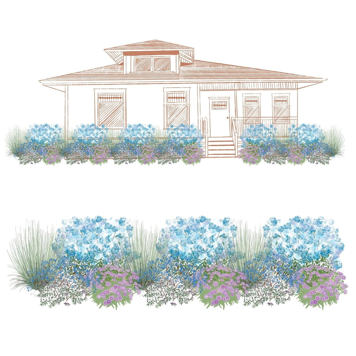 EZ Scapes™ No Thank You Deer #2 Garden Kit: Illustration of a house with a front yard garden featuring clusters of blue and purple flowering plants, green grasses, and shrubs in a lush, layered landscape. - Photo Courtesy of Walters Gardens, Inc.