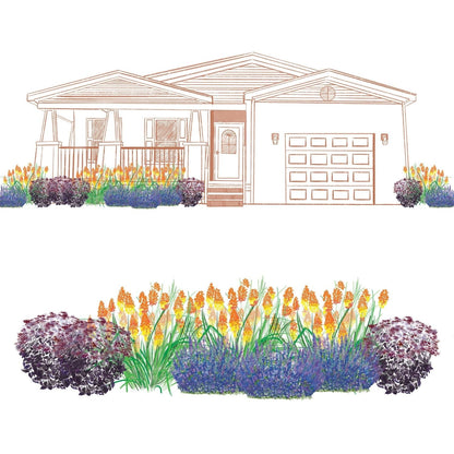 The EZ Scapes™ Pollinator for the South #1 Garden Kit creates a vibrant landscape with tall orange flowers, green grasses, purple and blue shrubs, and yellow blooms around your porch, garage, and as a border. - Photo Courtesy of Walters Gardens, Inc.