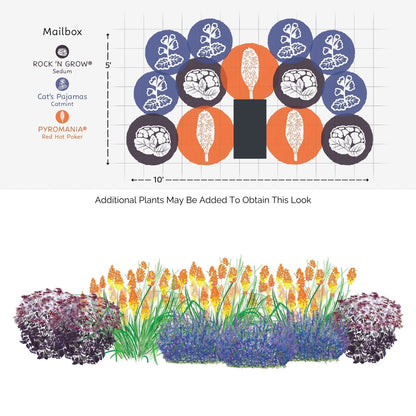 The EZ Scapes™ Pollinator for the South #1 Garden Kit offers a mailbox garden plan with clusters of orange, white, and purple blooms in a semi-circle layout, plus an illustrated side view showing mature plant heights. - Photo Courtesy of Walters Gardens, Inc.