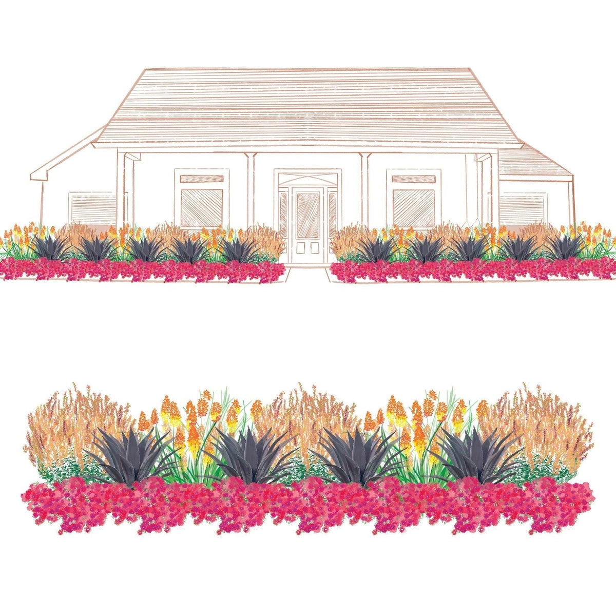 Illustration of a house with garden beds featuring pink flowers, green plants, and orange grass - Photo Courtesy of Walters Gardens, Inc.