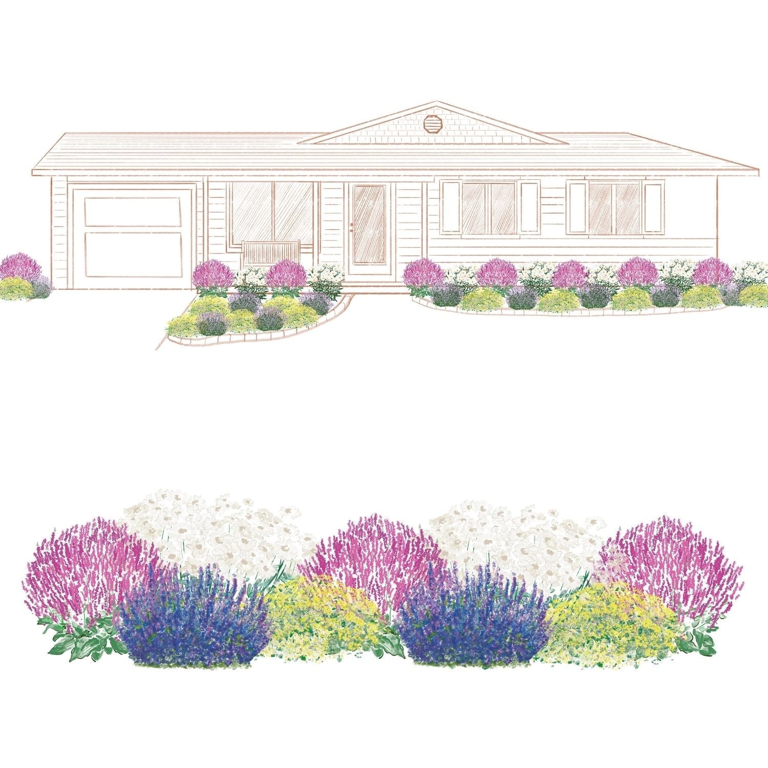 Illustration of a single-story house with a landscaped front garden, featuring the EZ Scapes™ Pollinator Power Garden Kit with low-maintenance perennials and butterfly plants in purple, white, yellow, and blue lining the walkway. - Photo Courtesy of Walters Gardens, Inc.