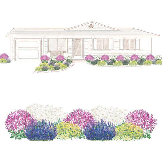 Illustration of a single-story house with a landscaped front garden, featuring the EZ Scapes™ Pollinator Power Garden Kit with low-maintenance perennials and butterfly plants in purple, white, yellow, and blue lining the walkway. - Photo Courtesy of Walters Gardens, Inc.