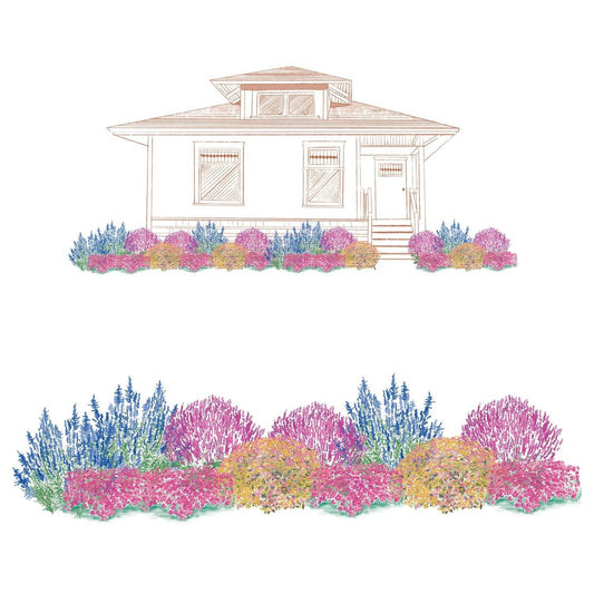 Illustration of a house with a vibrant pollinator garden of pink, purple, blue, and yellow sun-loving perennials from the EZ Scapes™ Pollinator Sunscape #1 Garden Kit; a close-up of the kit appears below the garden. - Photo Courtesy of Walters Gardens, Inc.