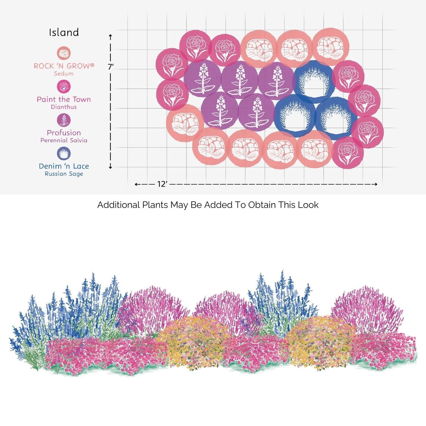 The EZ Scapes™ Pollinator Sunscape #1 Garden Kit features a 12 x 7 island bed with groupings of sun-loving perennials and an illustrated side view showing the mature pollinator garden vibrant with colorful blooms and foliage. - Photo Courtesy of Walters Gardens, Inc.