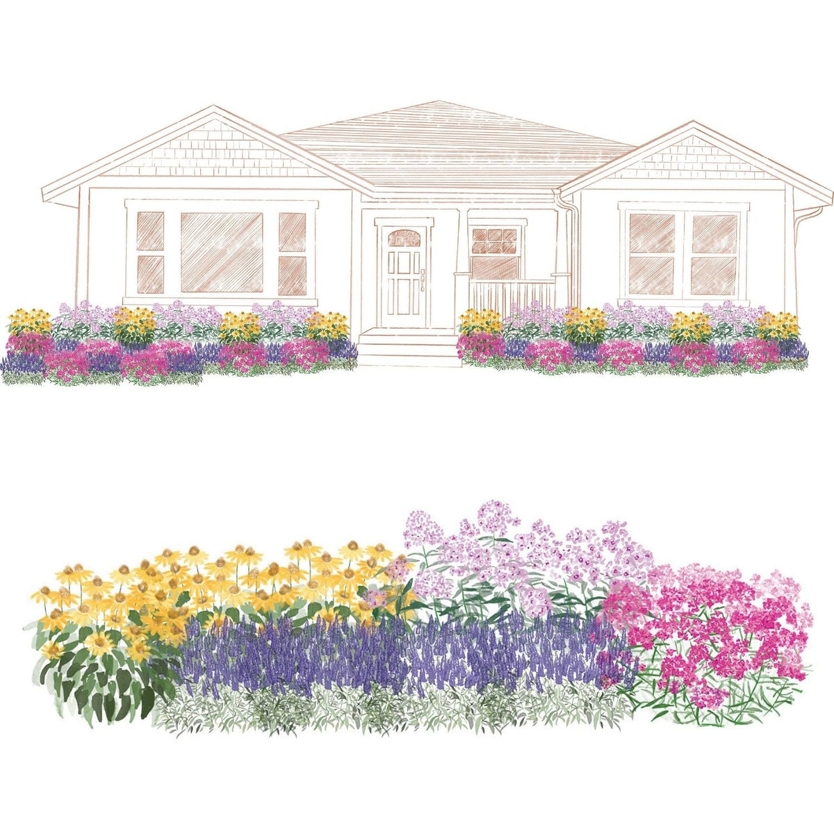 An illustration of a house with flower beds in front, filled with vibrant flowers from the EZ Scapes™  Pollinator Sunscape #5 Garden Kit. Below is a close-up showing the same colorful mix of flowering plants arranged together - Photo Courtesy of Walters Gardens, Inc.