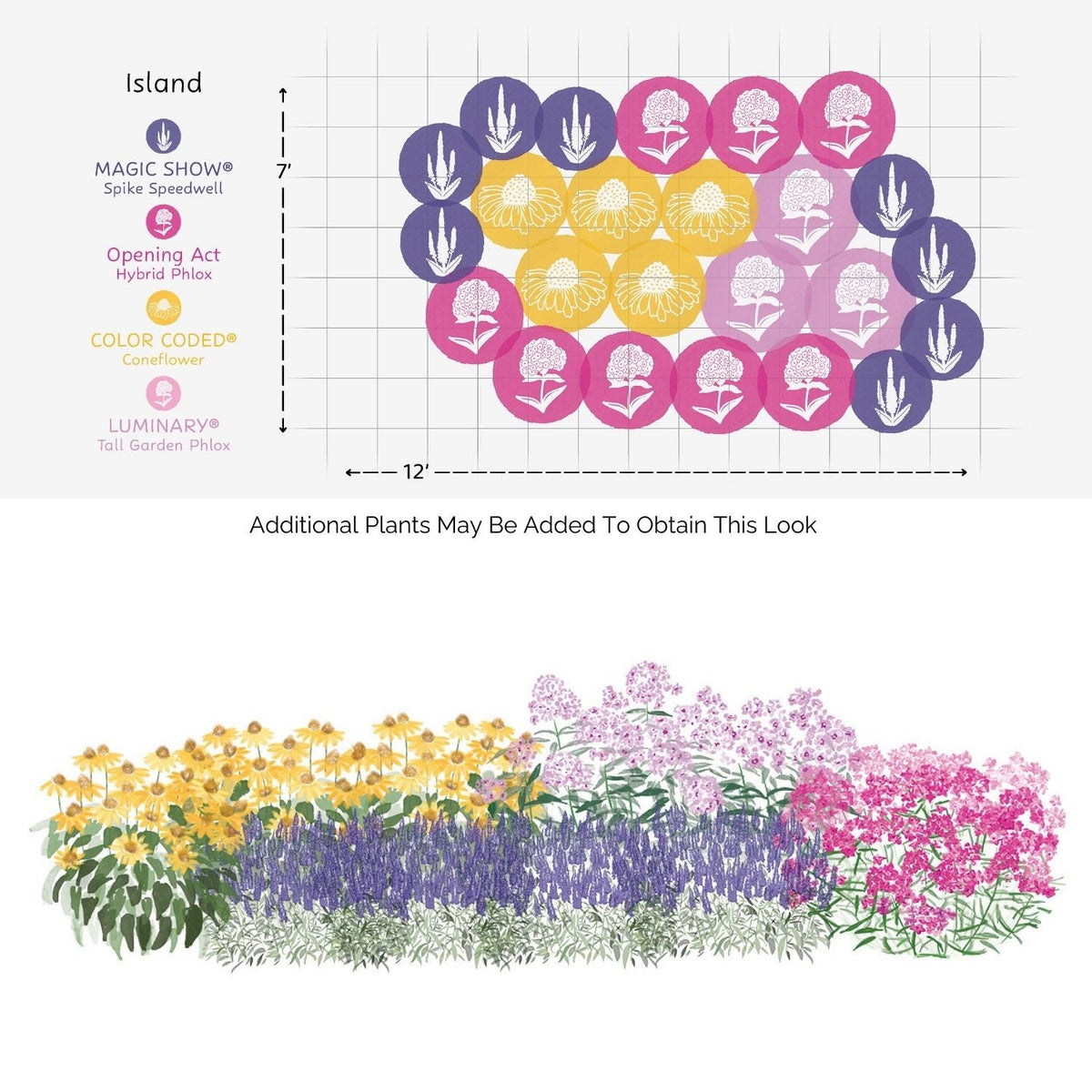 The EZ Scapes™  Pollinator Sunscape #5 Garden Kit includes a 12 x 7 flower bed design with clusters of purple, yellow, and pink blooms; a side view shows coneflowers, speedwell, and phlox in full bloom. - Photo Courtesy of Walters Gardens, Inc.