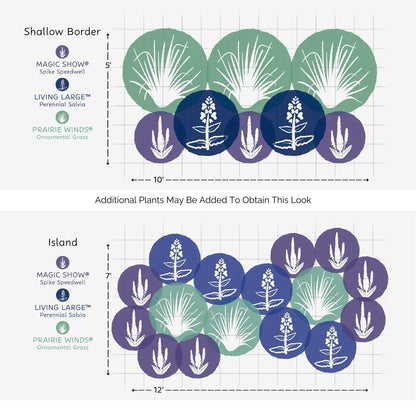 Diagram of two garden layouts—a 5 x 7 shallow border and a 12 x 7 island—using the EZ Scapes™ Salty Garden Spaces Kit’s three plants in overlapping circles for design ideas. - Photo Courtesy of Walters Gardens, Inc.