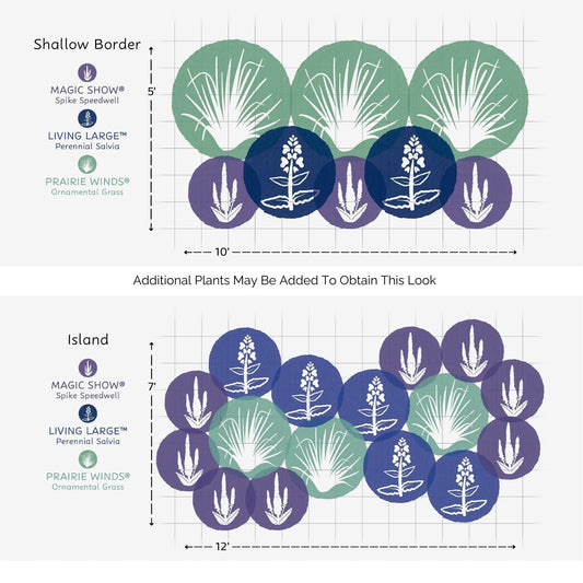 Diagram of two garden layouts—a 5 x 7 shallow border and a 12 x 7 island—using the EZ Scapes™ Salty Garden Spaces Kit’s three plants in overlapping circles for design ideas. - Photo Courtesy of Walters Gardens, Inc.