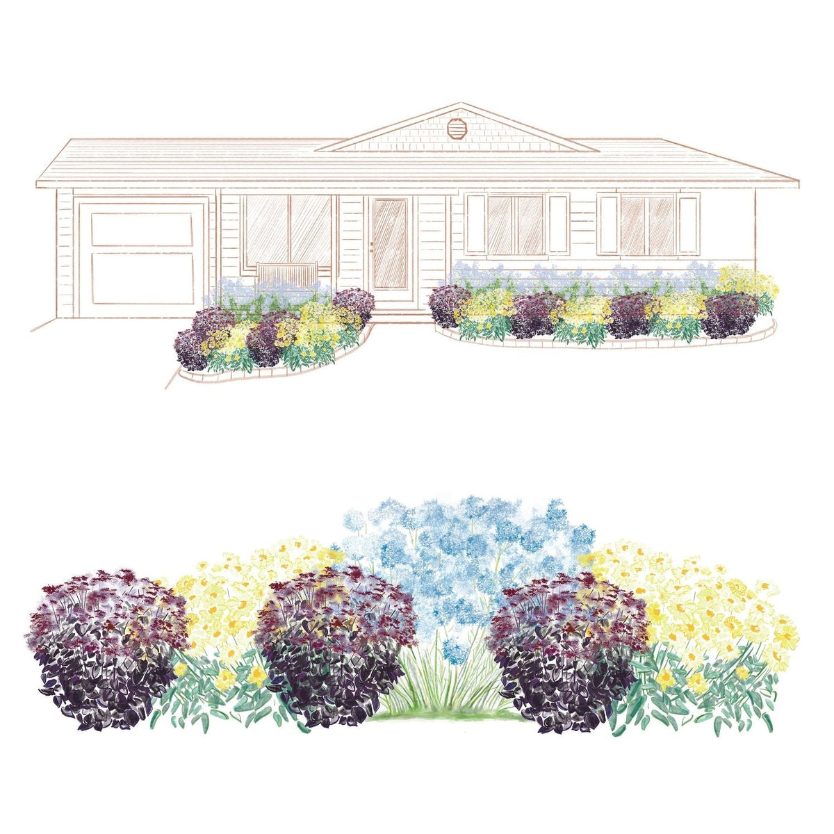 A colored sketch shows a one-story house with a front bed planted with EZ Scapes™ Season Long Interest #1 Garden Kit, featuring pollinator-friendly perennials in purple, yellow, and blue, plus a detailed kit layout below the house illustration. - Photo Courtesy of Walters Gardens, Inc.