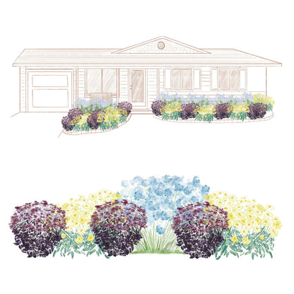 A colored sketch shows a one-story house with a front bed planted with EZ Scapes™ Season Long Interest #1 Garden Kit, featuring pollinator-friendly perennials in purple, yellow, and blue, plus a detailed kit layout below the house illustration. - Photo Courtesy of Walters Gardens, Inc.
