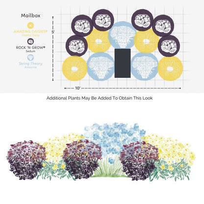 A diagram displays the EZ Scapes™ Season Long Interest #1 Garden Kit layout: circular groups of yellow daisies, blue sedum, and purple artemisia behind a mailbox, plus an illustrated side view of the perennial blooms. - Photo Courtesy of Walters Gardens, Inc.