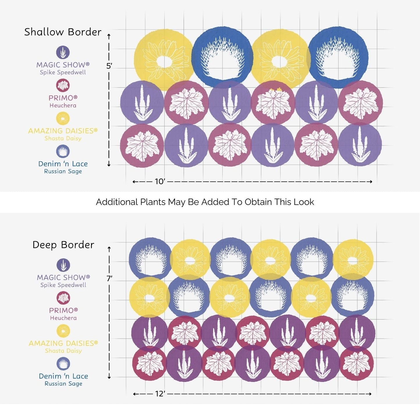 Diagram shows two garden layouts—a shallow and a deep border—using the EZ Scapes™ Season Long Interest #2 Garden Kit. Featured are pollinator-friendly perennials in yellow, purple, and blue, including labeled Magic Show Spike Speedwell, Primo Heuchera, Amazing Daisies, and Denim n Lace Russian Sage. - Photo Courtesy of Walters Gardens, Inc.