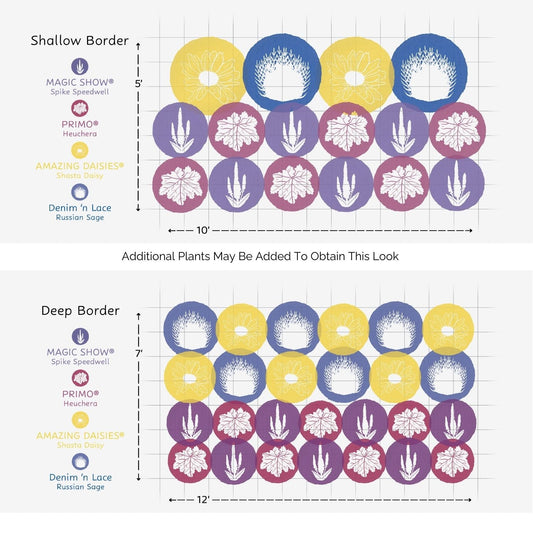 Diagram shows two garden layouts—a shallow and a deep border—using the EZ Scapes™ Season Long Interest #2 Garden Kit. Featured are pollinator-friendly perennials in yellow, purple, and blue, including labeled Magic Show Spike Speedwell, Primo Heuchera, Amazing Daisies, and Denim n Lace Russian Sage. - Photo Courtesy of Walters Gardens, Inc.