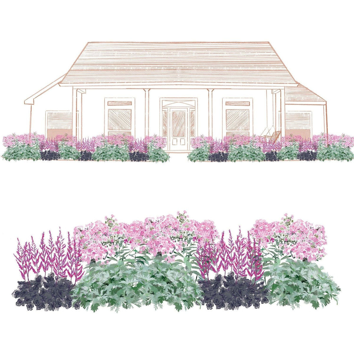 Illustration of the EZ Scapes™ Season Long Interest #3 Garden Kit, showing a house with vibrant pink, purple, and green plants and shrubs in the front garden bed, presented in both front view and close-up design detail. - Photo Courtesy of Walters Gardens, Inc.