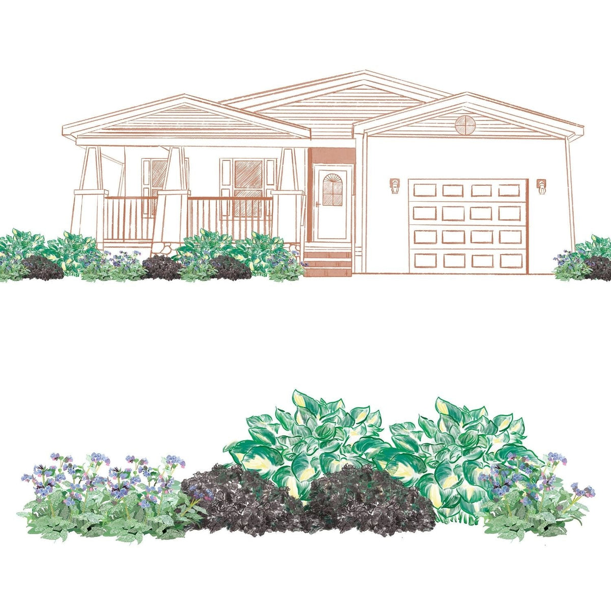 A line drawing of a house with a front garden shows the EZ Scapes™ Shady Color Garden Kit, featuring green hostas, purple-leaved plants, and small purple flowers in a detailed garden illustration. - Photo Courtesy of Walters Gardens, Inc.