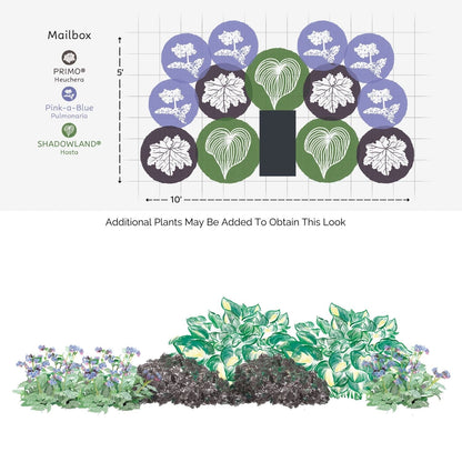 A planting diagram shows top and front views of the EZ Scapes™ Shady Color Garden Kit with purple Heuchera, blue Pulmonaria, and white Hosta arranged around a mailbox, featuring labeled plant positions and dimensions. - Photo Courtesy of Walters Gardens, Inc.