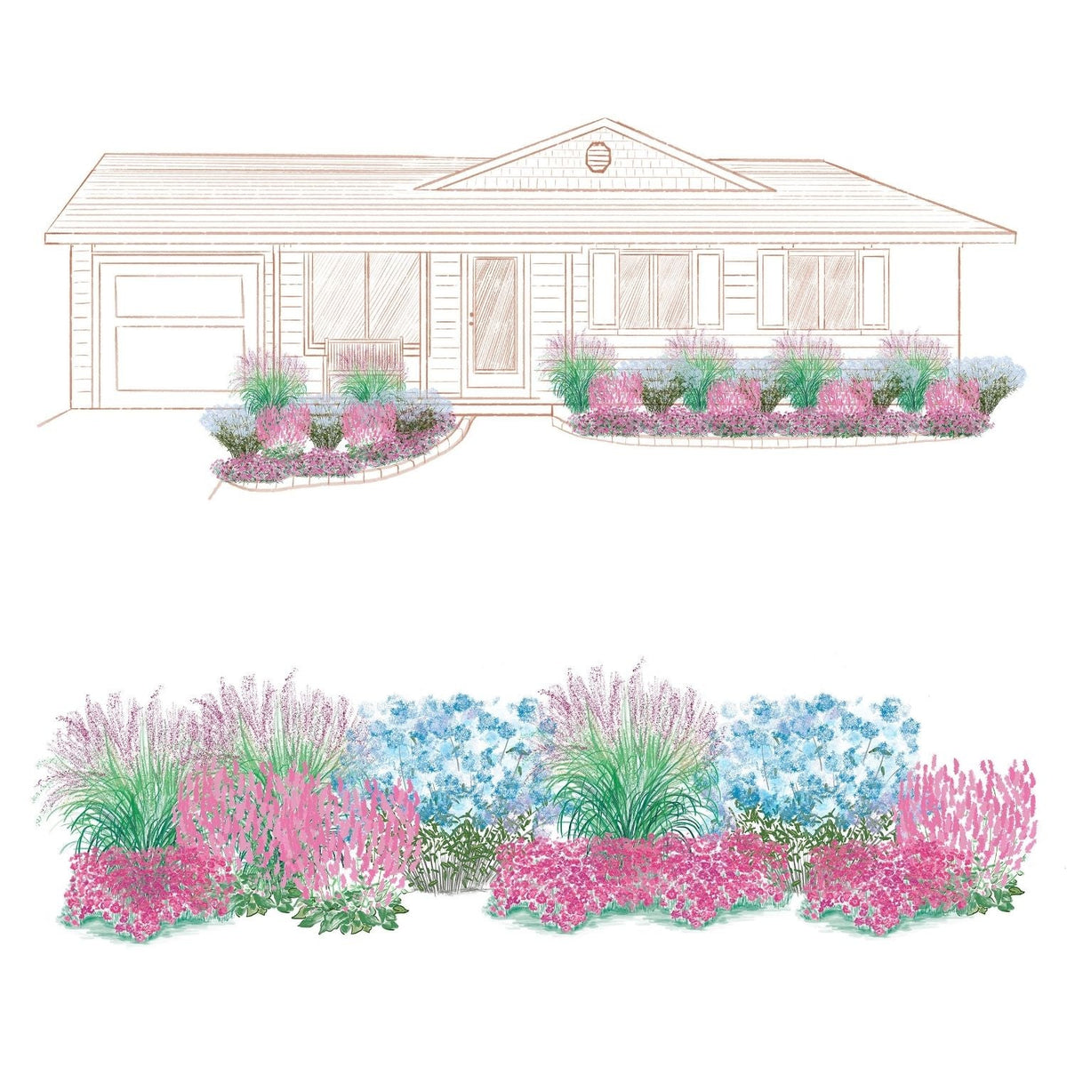 An illustrated house front yard displays landscaped beds with pollinator plants from the EZ Scapes™ Spring Pollinator Garden Kit, featuring ornamental grasses and pink, blue, and purple flowering layers. - Photo Courtesy of Walters Gardens, Inc.