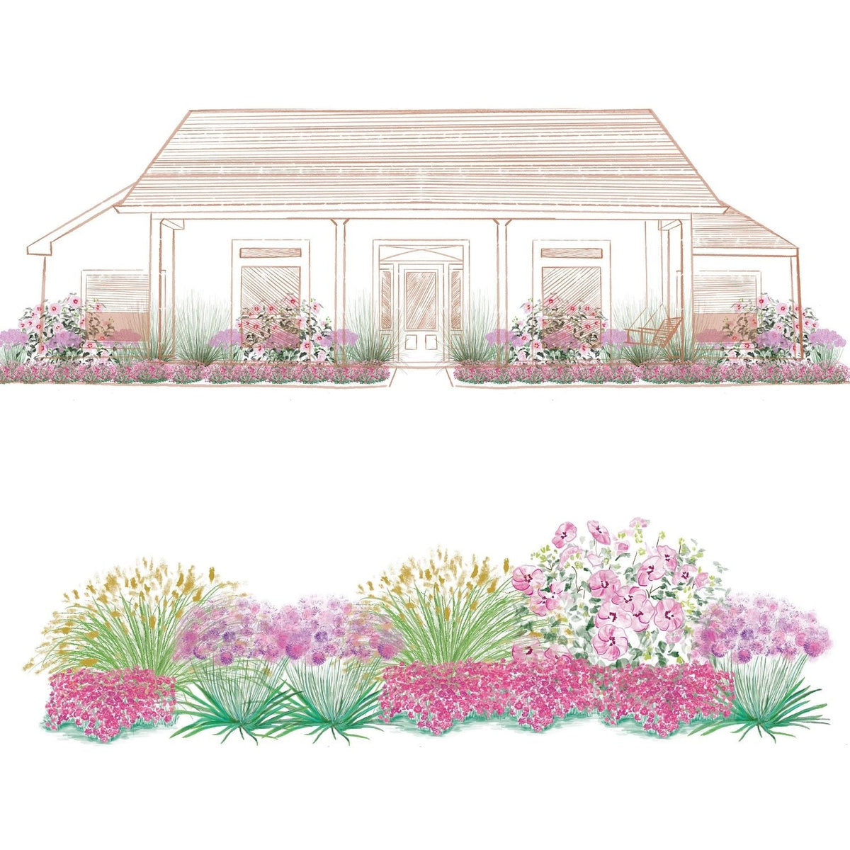 A hand-drawn illustration shows the EZ Scapes™ Sun-Loving & Deer Resistant #1 Garden Kit: a house with vibrant, deer-resistant, sun-loving flowers and pollinator-friendly plants in front, featuring both a front view and a close-up of the landscaping. - Photo Courtesy of Walters Gardens, Inc.