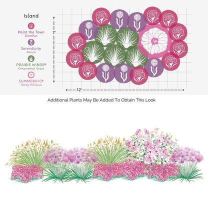 The EZ Scapes™ - Sun-Loving & Deer Resistant #1 - Garden Kit features an island-shaped garden bed with color-coded pollinator flowers and a side-view illustration of ornamental grasses, hibiscus, allium, and dianthus in vibrant bloom. - Photo Courtesy of Walters Gardens, Inc.
