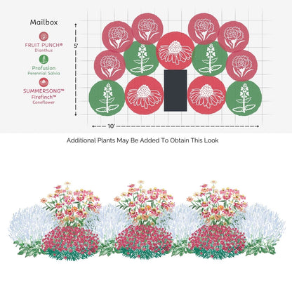 Garden layout using the EZ Scapes™ Sun-Loving & Deer Resistant #3 Garden Kit: a 10x5' bed by the mailbox, with grouped circles to show dianthus, salvia, and coneflower. Bottom illustrates this garden kit’s colorful mature look. - Photo Courtesy of Walters Gardens, Inc.