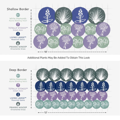Diagram showing plant layouts for two borders using the EZ Scapes™ Sun-Loving & Deer Resistant #4 Garden Kit, with alternating rows of four plant types in blue, purple, green, and white, labeled with names and height guides. - Photo Courtesy of Walters Gardens, Inc.