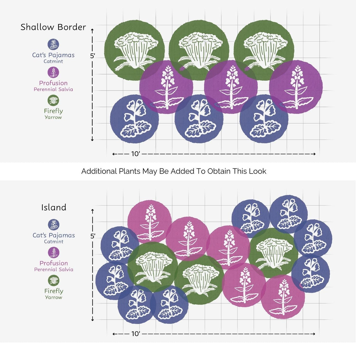 Diagram showing plant layout with colored circles and measurements - Photo Courtesy of Walters Gardens, Inc.