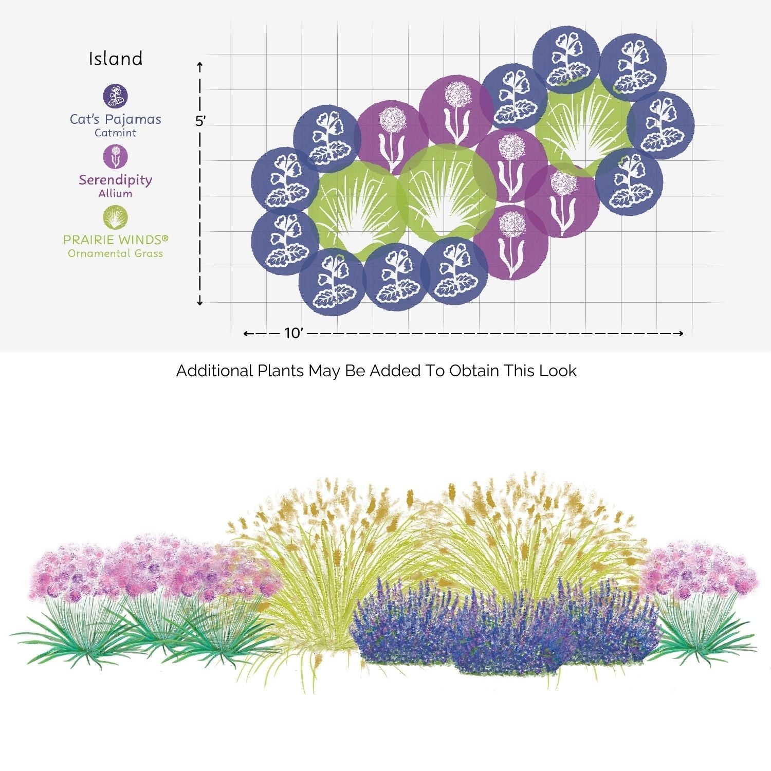 The EZ Scapes™ Deer Resistant Sunscape #1 Garden Kit includes perennial plants like purple catmint, light purple allium, and yellow-green ornamental grass with top and side view illustrations for a deer-resistant garden - Photo Courtesy of Walters Gardens, Inc.
