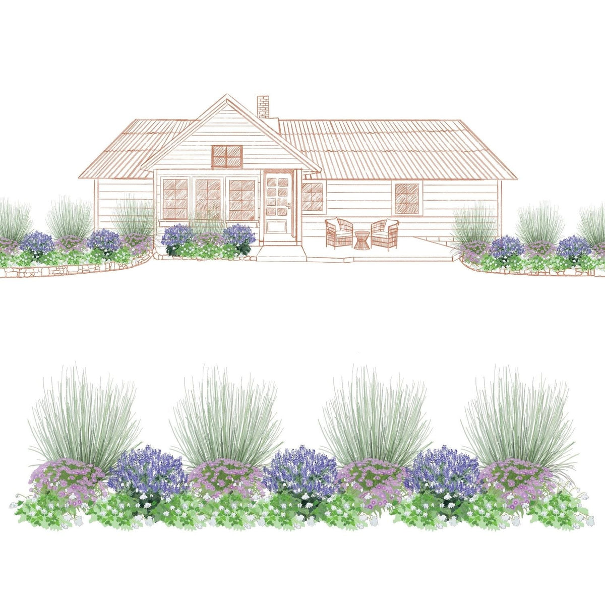 An illustration shows a house with a front garden planted with the EZ Scapes™ Sun-Loving & Deer Resistant #4 Garden Kit, featuring clusters of green, purple, and white ornamental grasses and flowering plants arranged symmetrically. - Photo Courtesy of Walters Gardens, Inc.