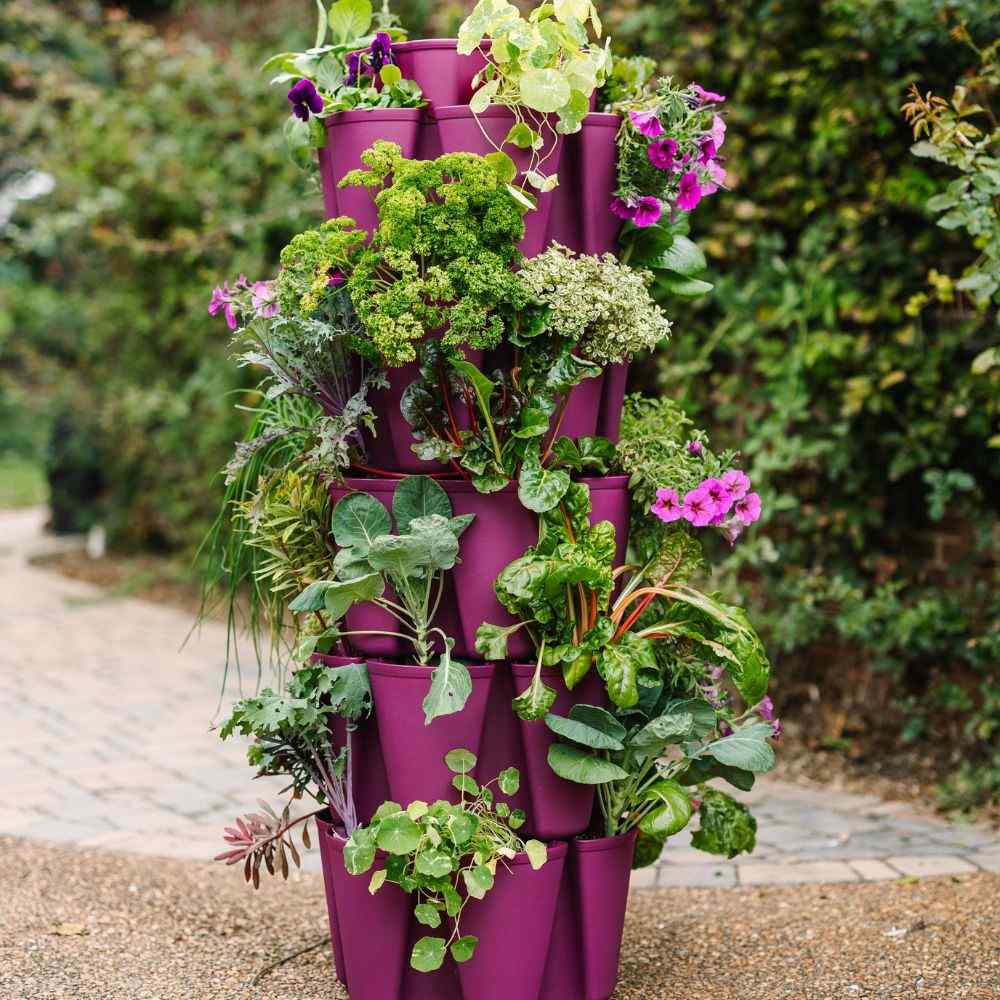5 Tier Greenstalk Planter in Plum Color with plants - 