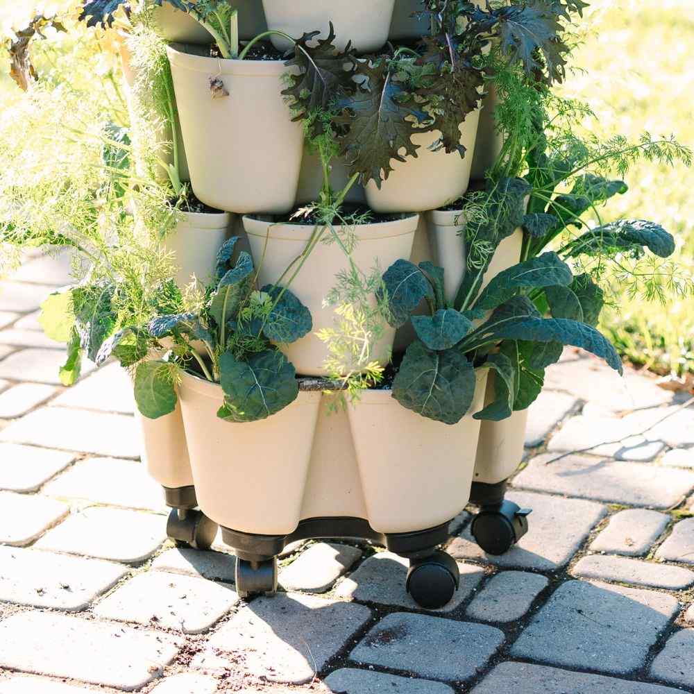 Stacked beige pots with plants on a stone patio - 