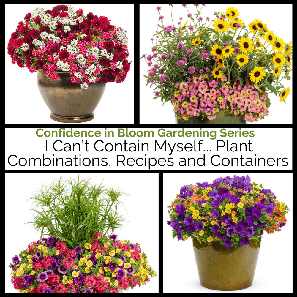 Collage of four potted plant arrangements with text about gardening series.