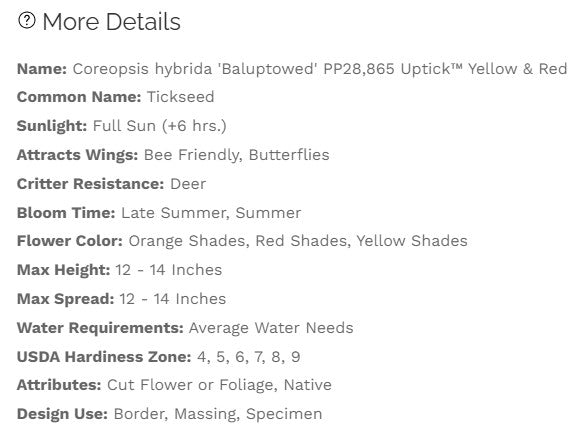 Product details of Coreopsis hybrid 'Baluptowed' with sunlight, attractants, bloom time, and other attributes listed.