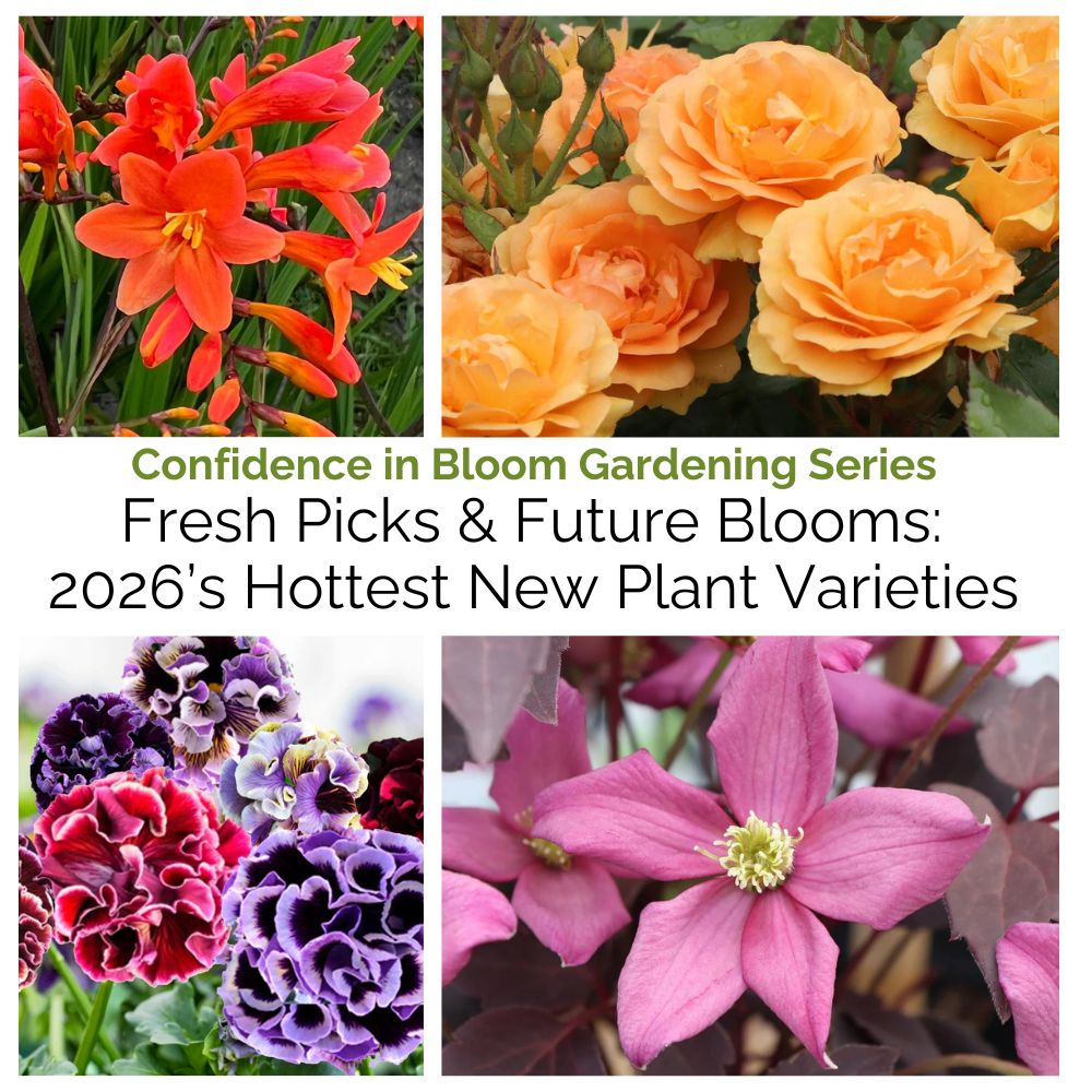 Collage of various flowers with text about 2026's hottest new plant varieties.