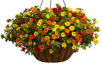 The Tropical Paradise Annual Combo Kit features vibrant yellow, orange, and red Superbells, lush green leaves, in this image planted in a coconut fiber-lined basket with metal chains - Photo Courtesy of Proven Winners. Container not included.