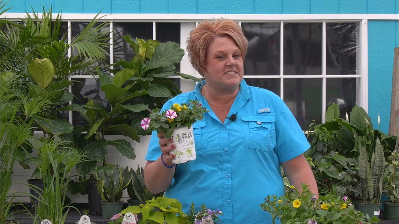 Load video: Plant sizes at Garden Crossings