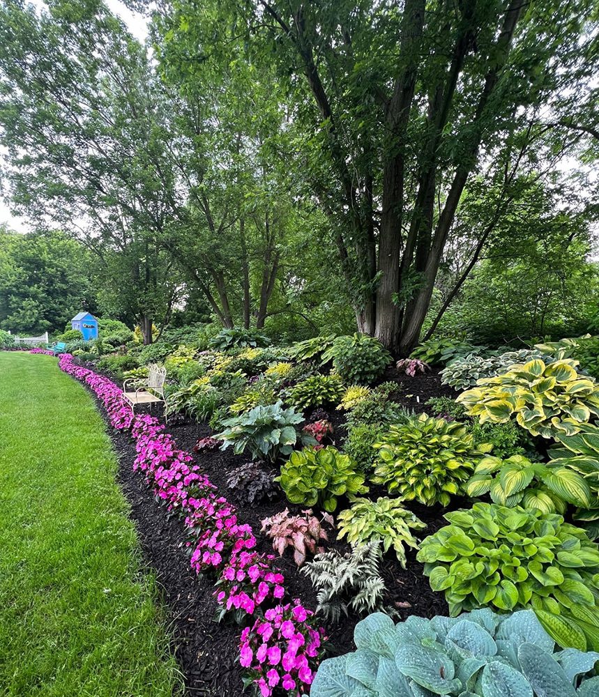 shade garden